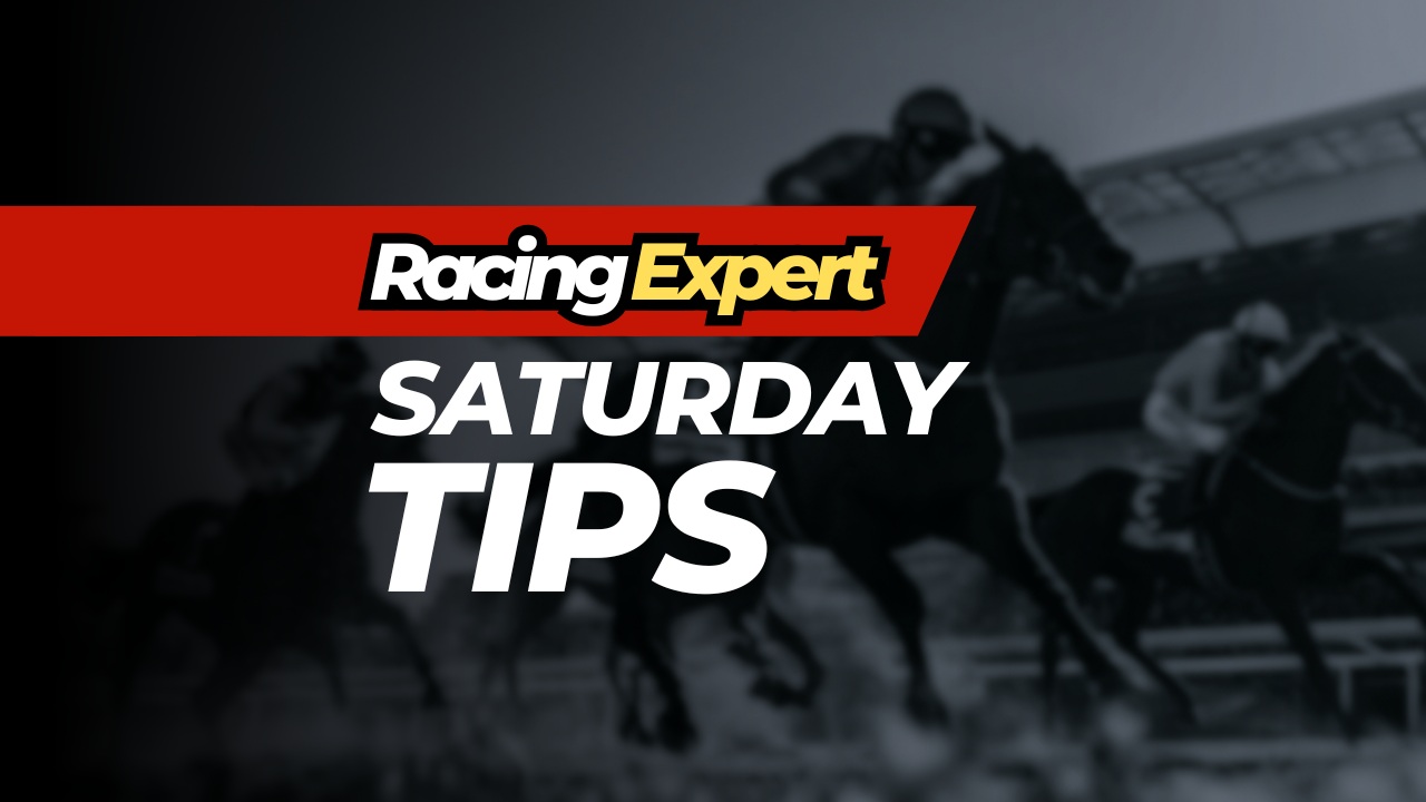 saturday horse racing tips racingexpert