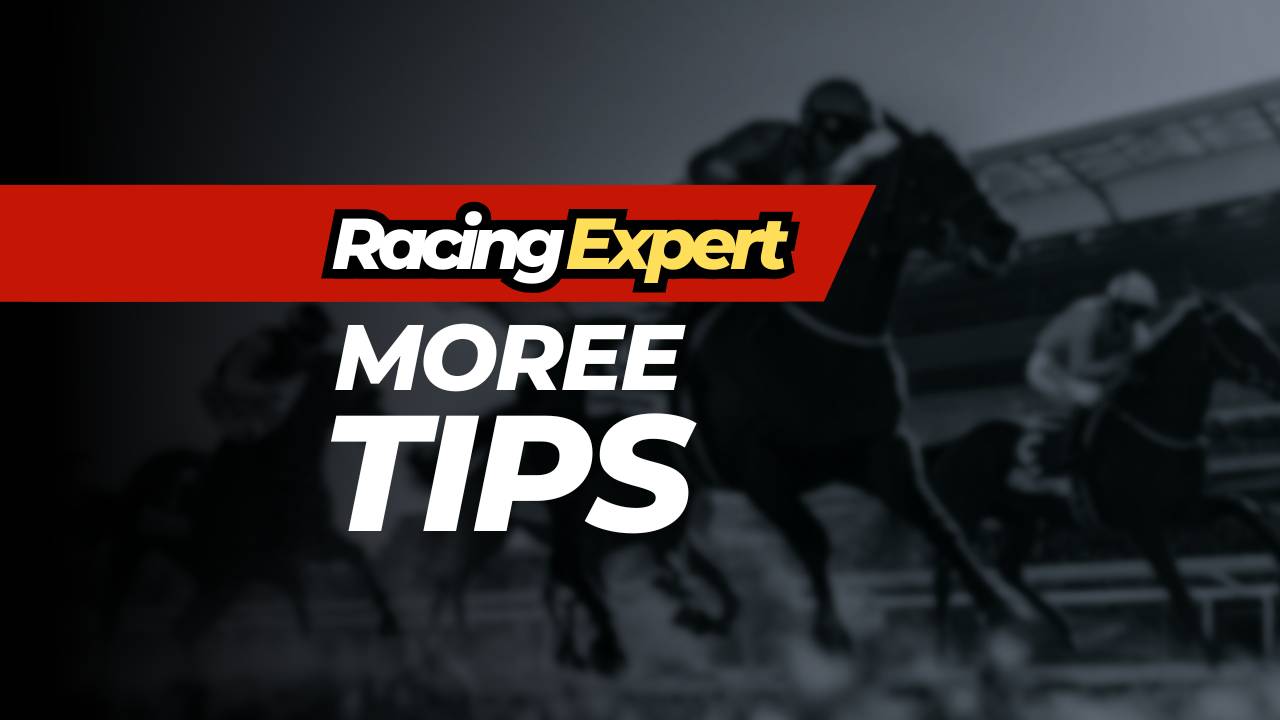 moree racing expert tips