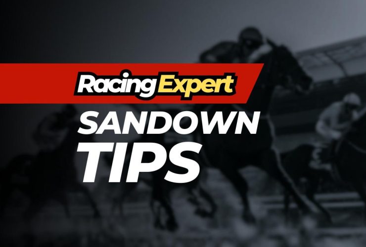 sandown racing expert tips