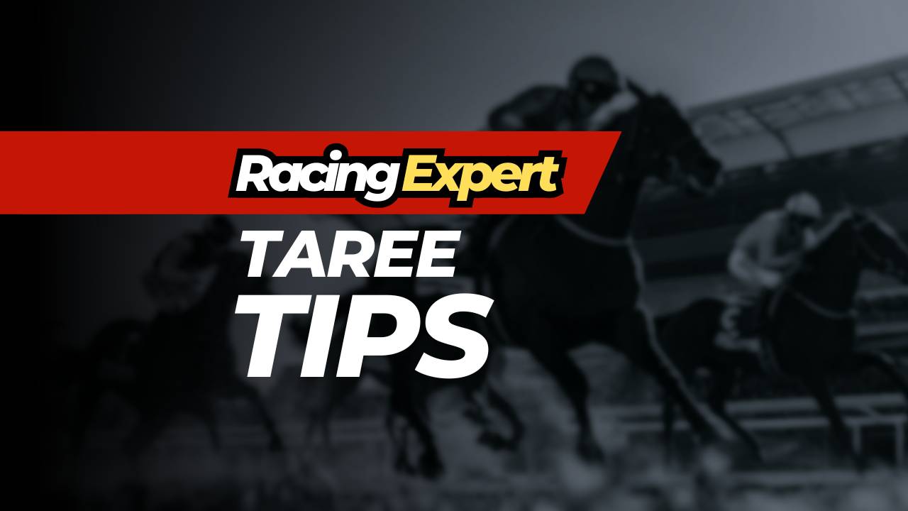 teree racing expert tips