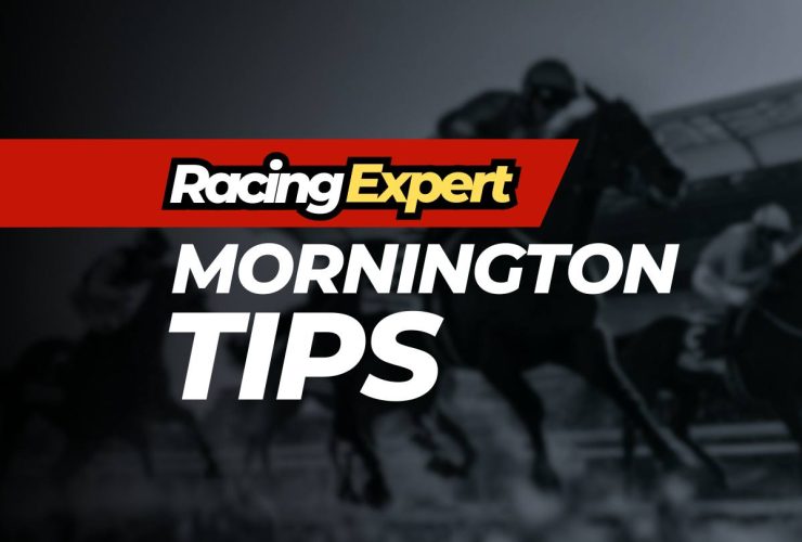 mornington racing expert tips