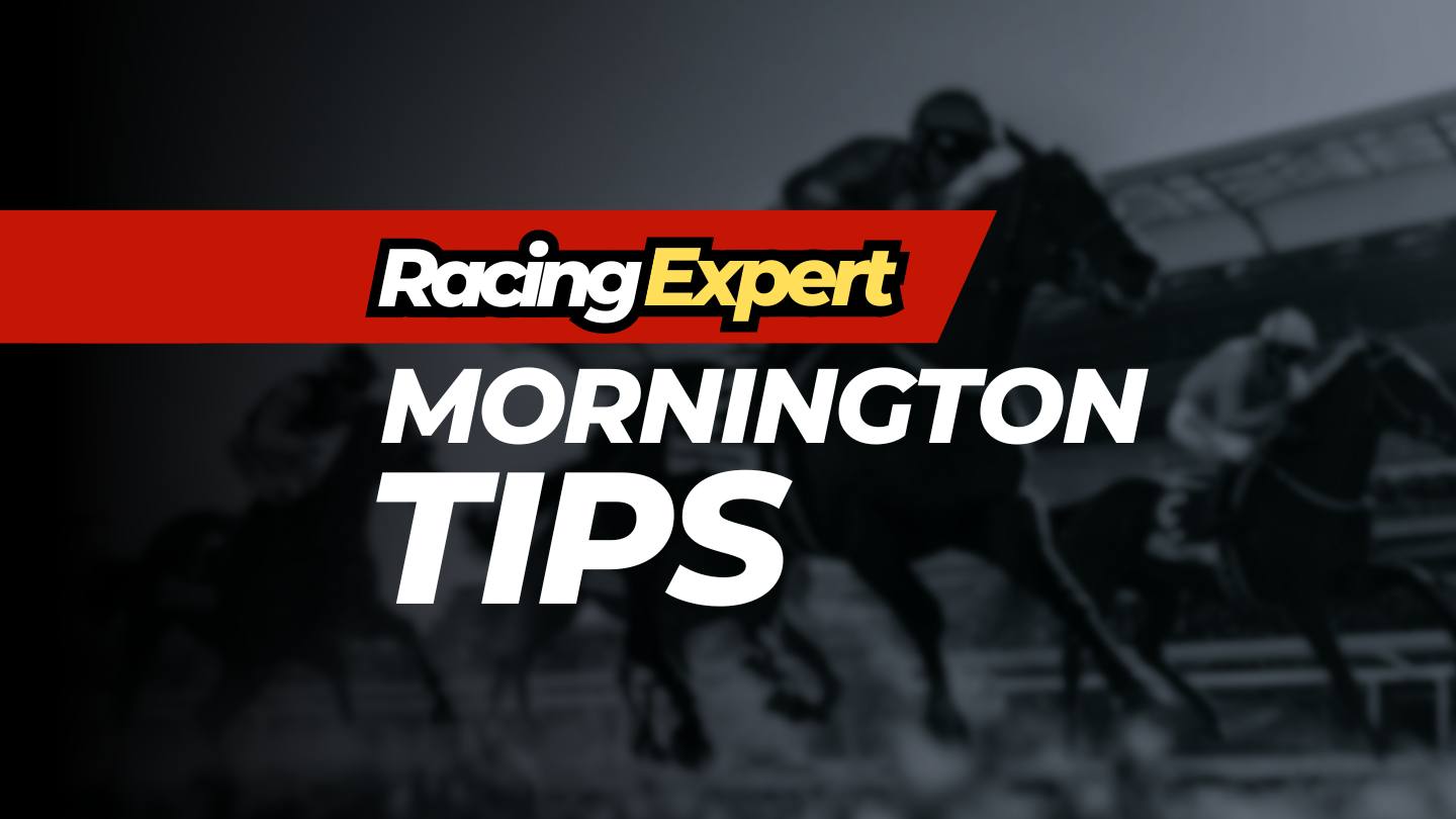 mornington racing expert tips