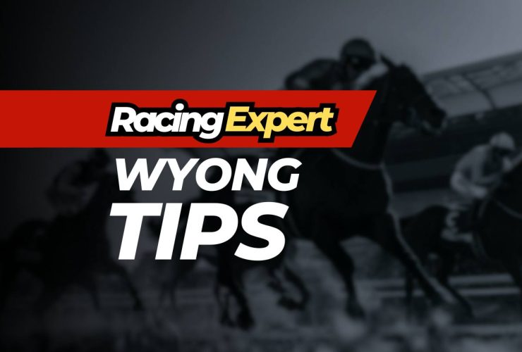 wyong racing expert tips